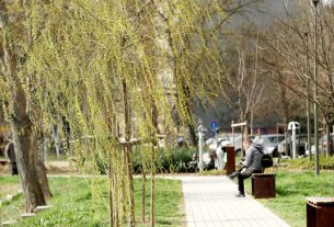 Szeged, tavasz, időjárás, március, virág, Vér-tó